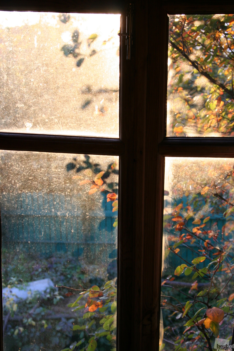 Поздняя осень в окне