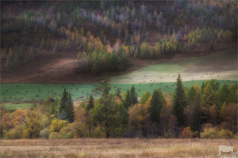 Бархатная осень.