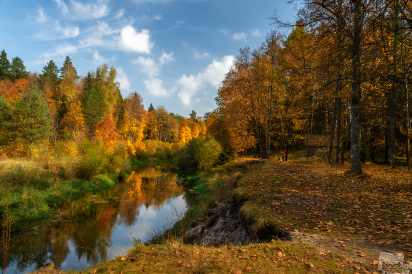 Красота осени