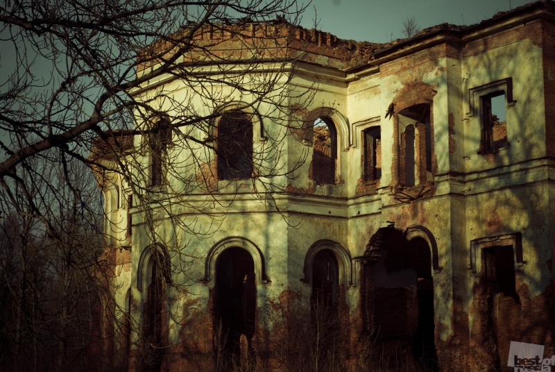 Руины Усадьбы Гостилицы