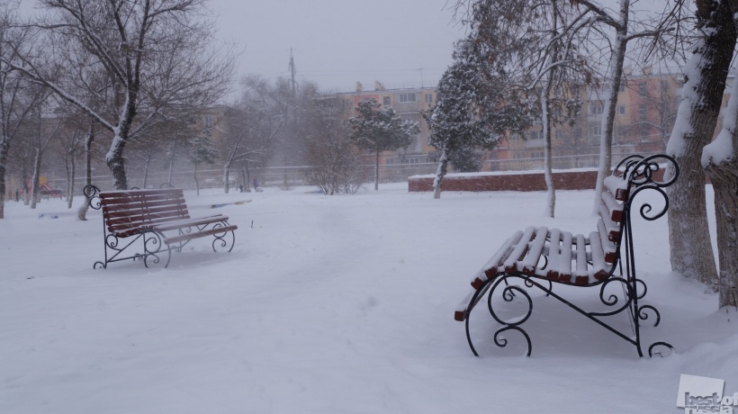 В зимнем парке