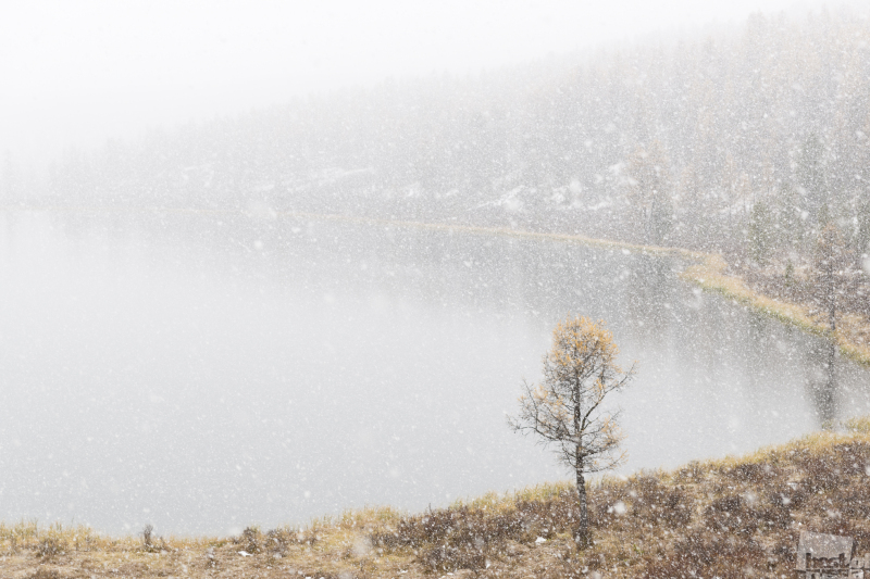 The first snow at Kedelyu lake