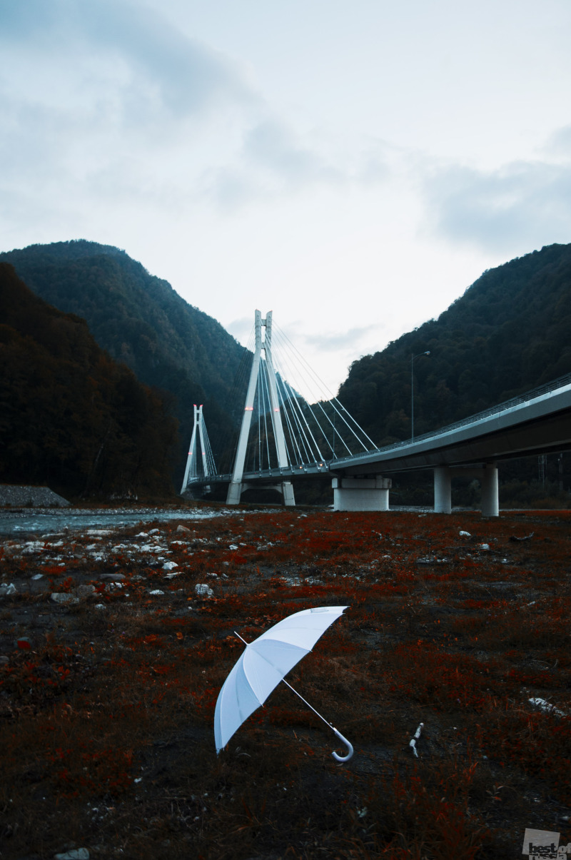 Белый Зонтик рядом с Вантовым мостом