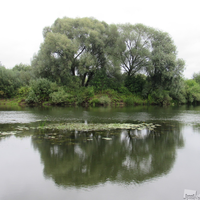 Река Нерль