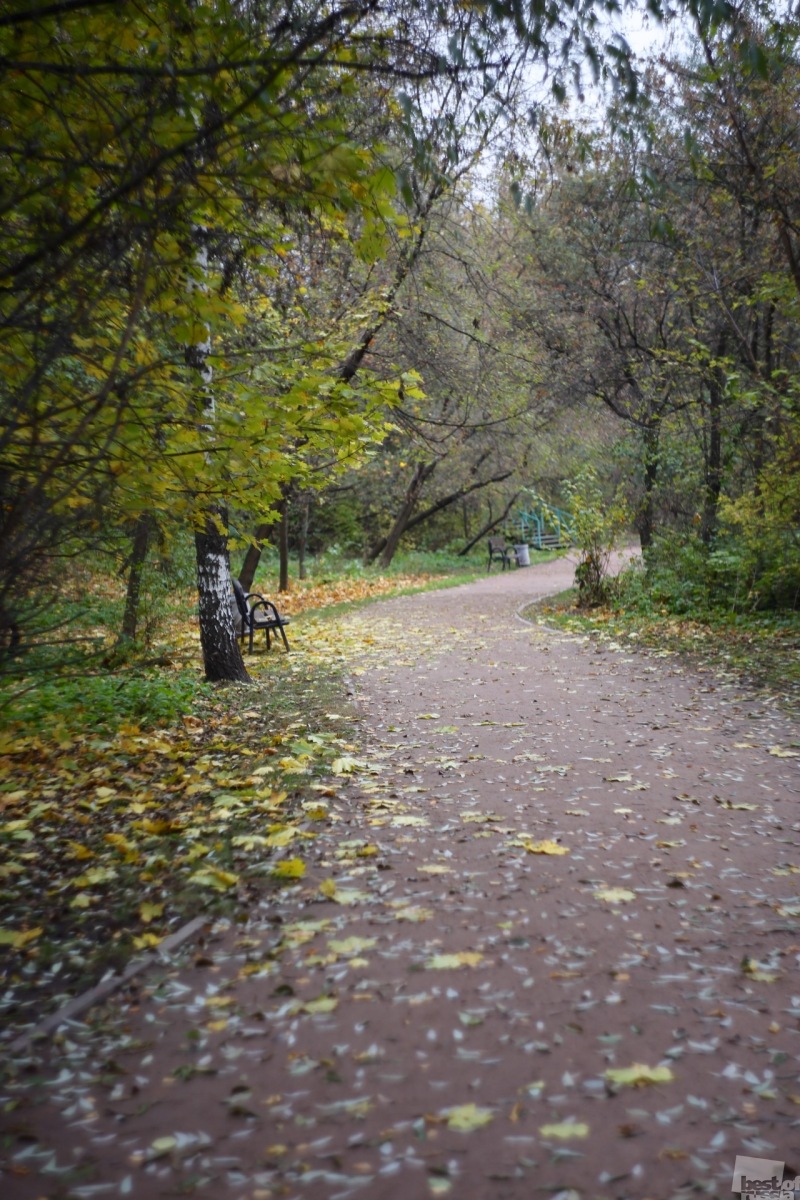 Московская осень в парке