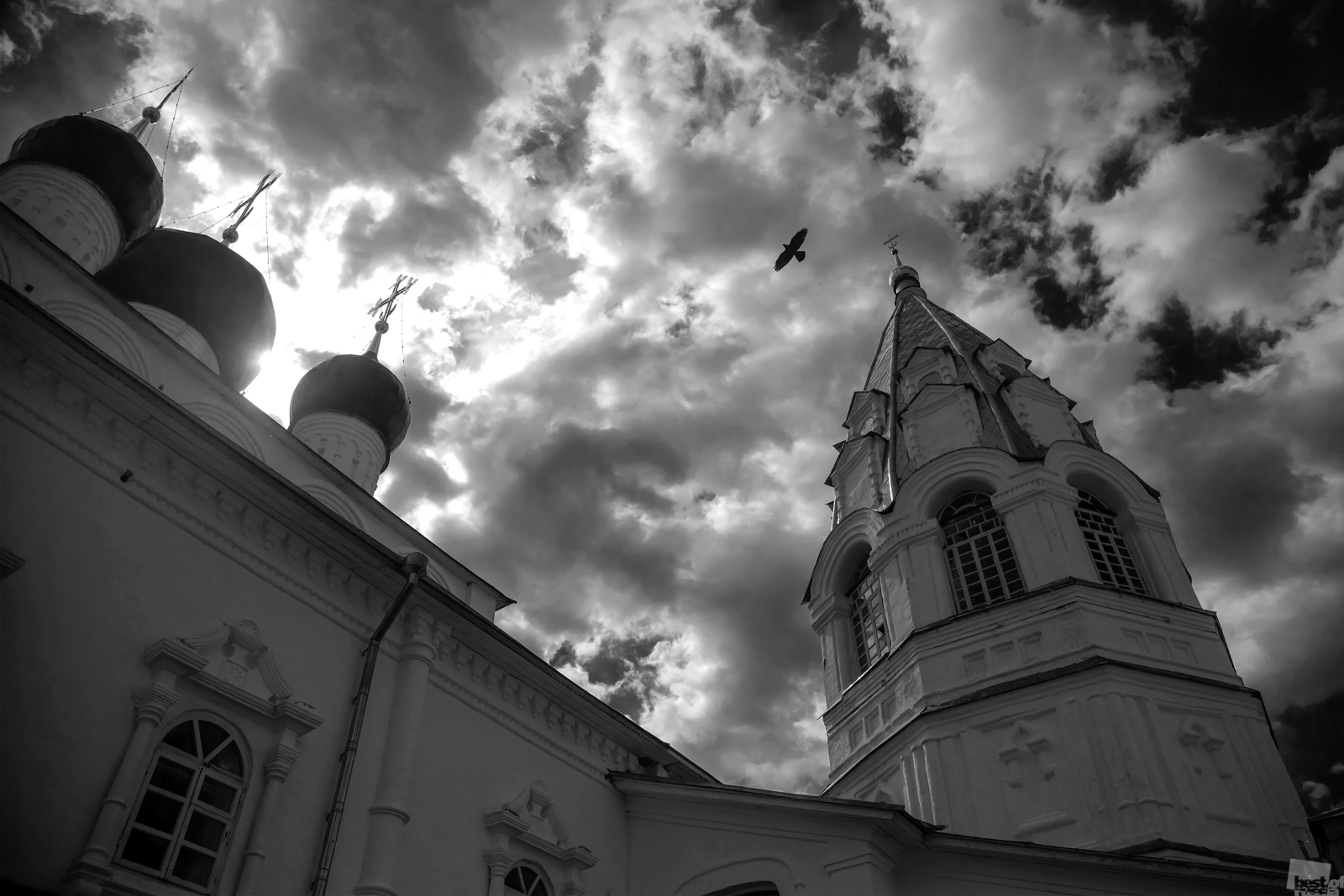 Птица