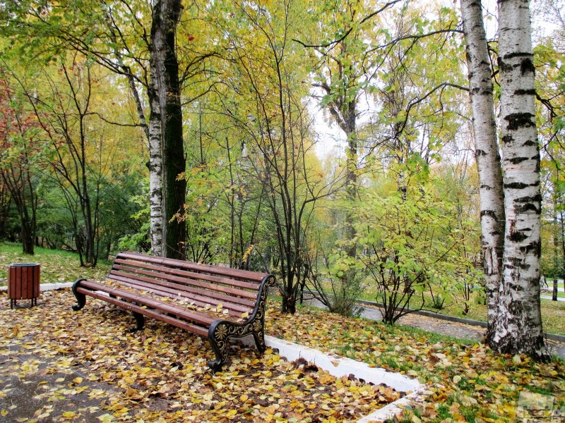 Осенний парк.