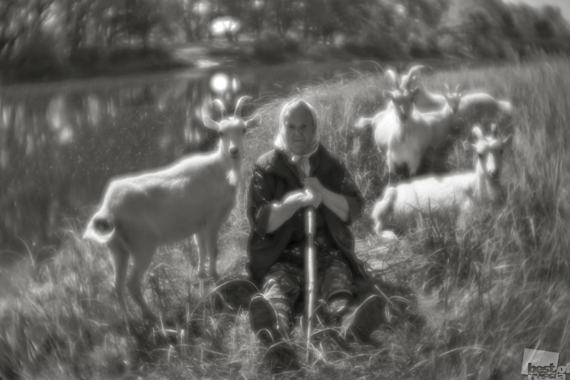 Клавдия Ивановна со своими козами на берегу реки Порусьи, объектив монокль.