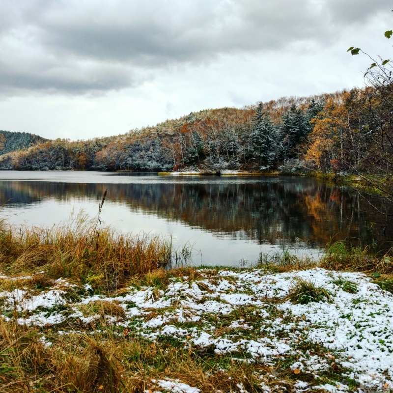 Первый снег на лесном озере