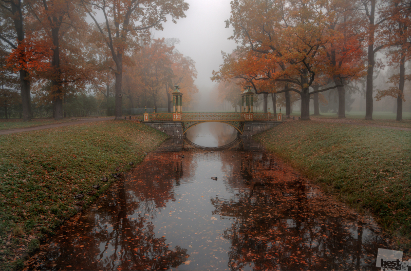 туманным утром в парке Пушкина