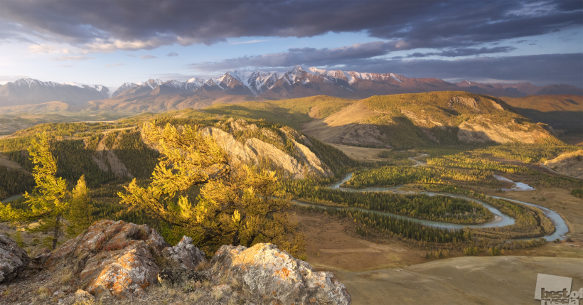 Утренний свет Алтая
