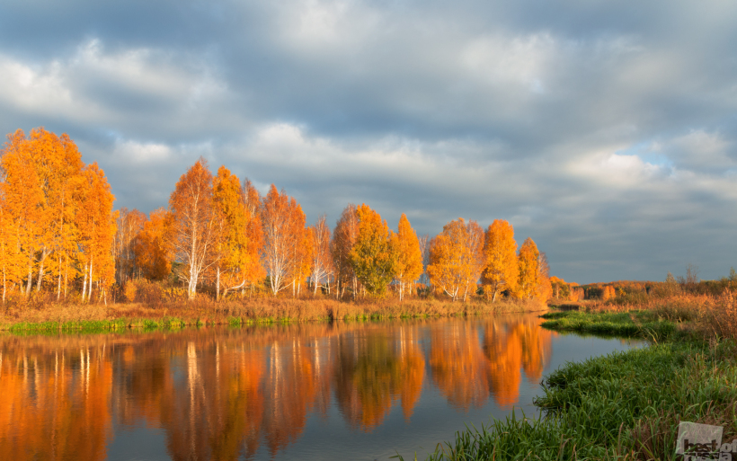Краски осени.
