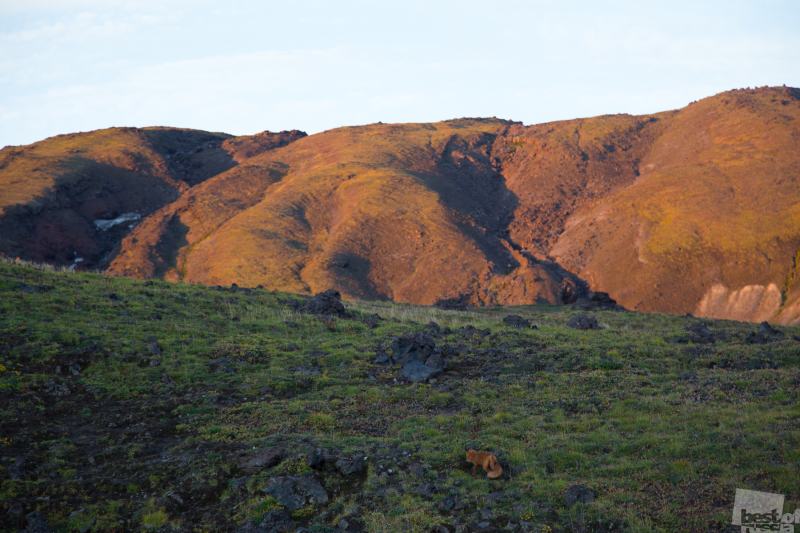 Утро у подножия вулкана Горелый, Камчатка