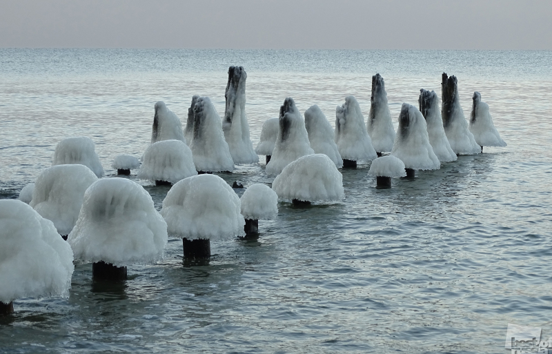 Ледяные морские грибы