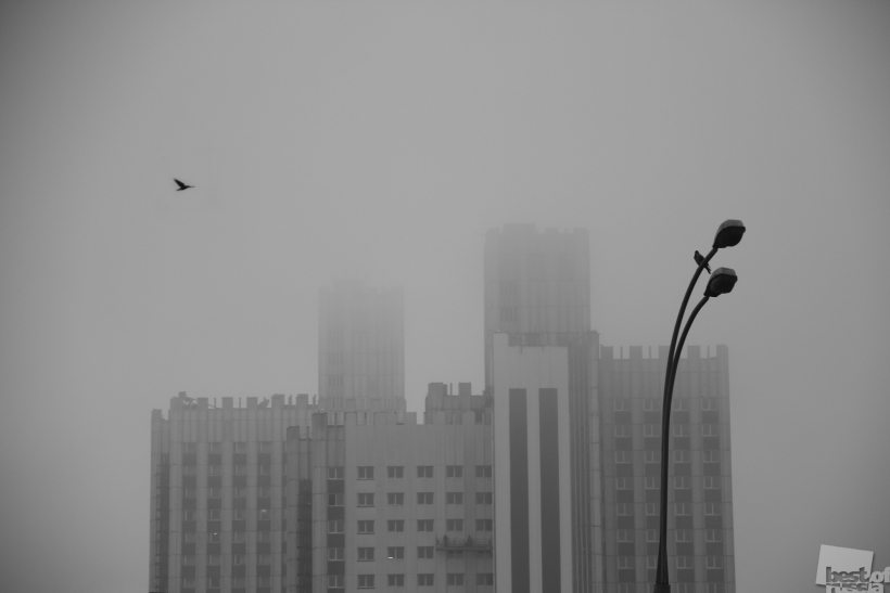 Туманное утро