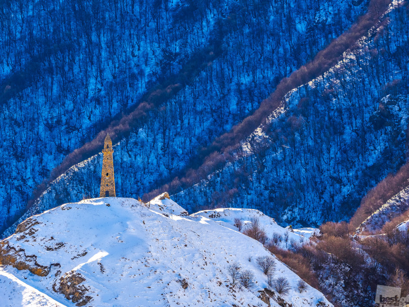 Chechnya: Past, Present and Future