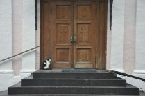 Кот у дверей