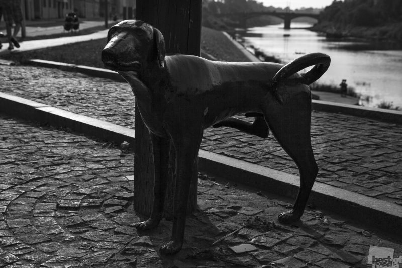 Памятник писающей собаке в Вологде