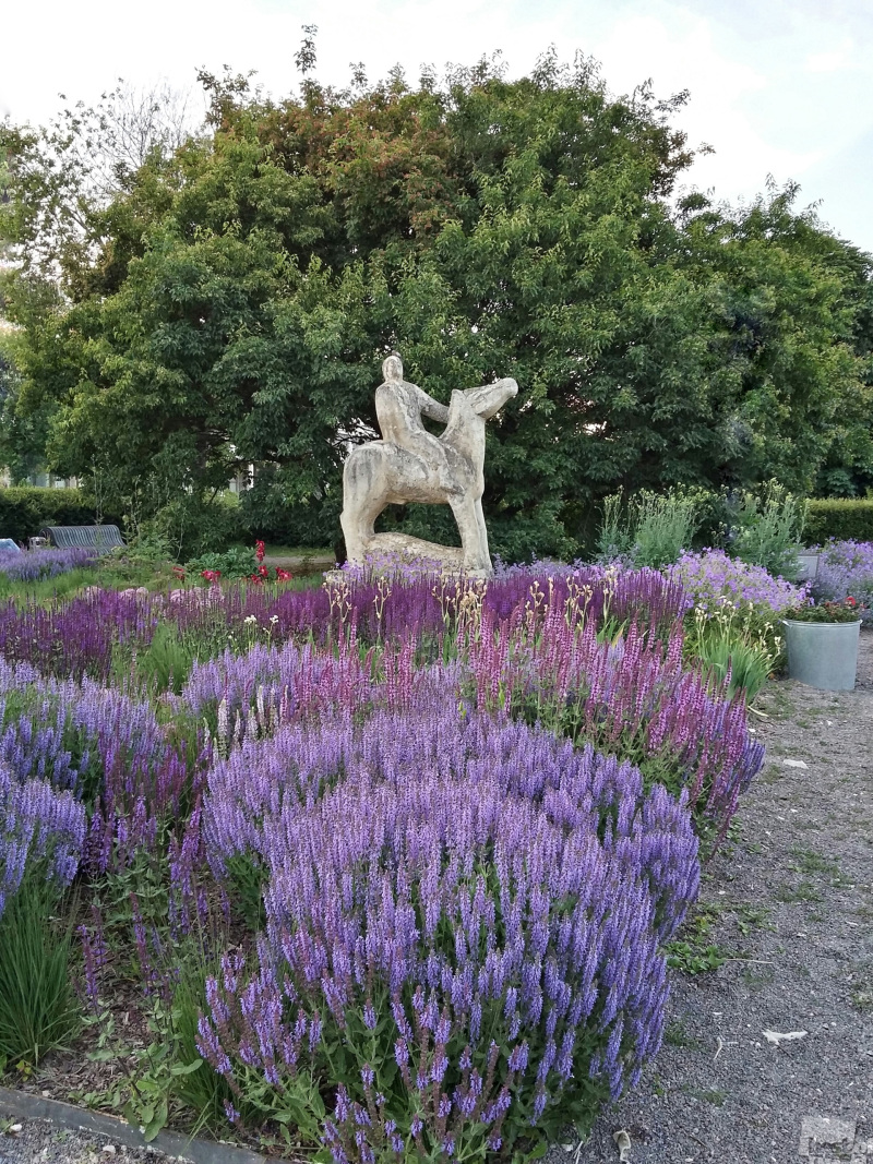 Horseman in lilac