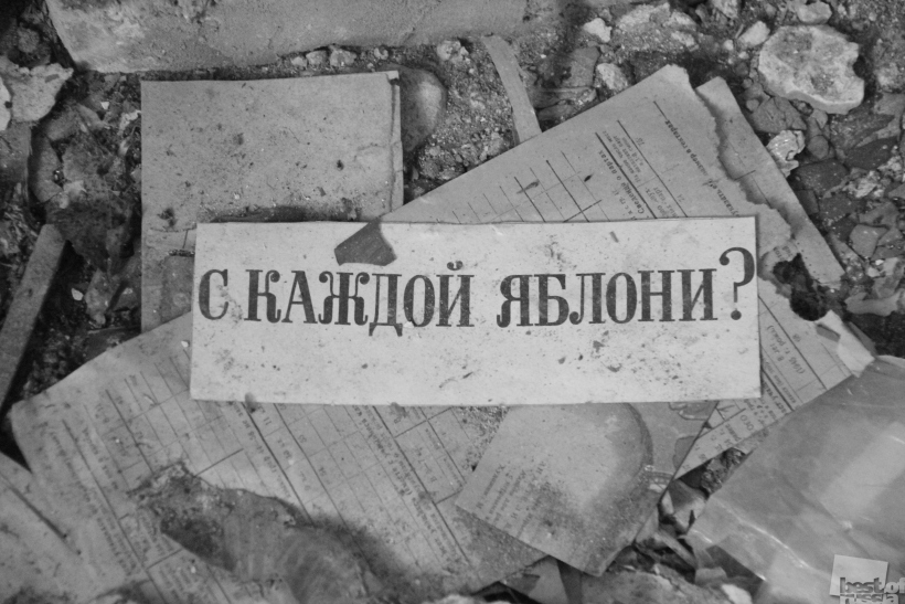 С каждой яблони
