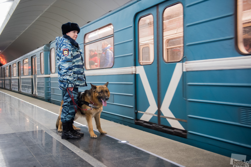 Работа кинолога