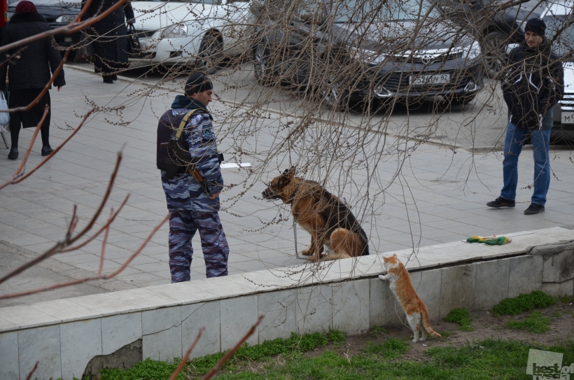 Знакомство