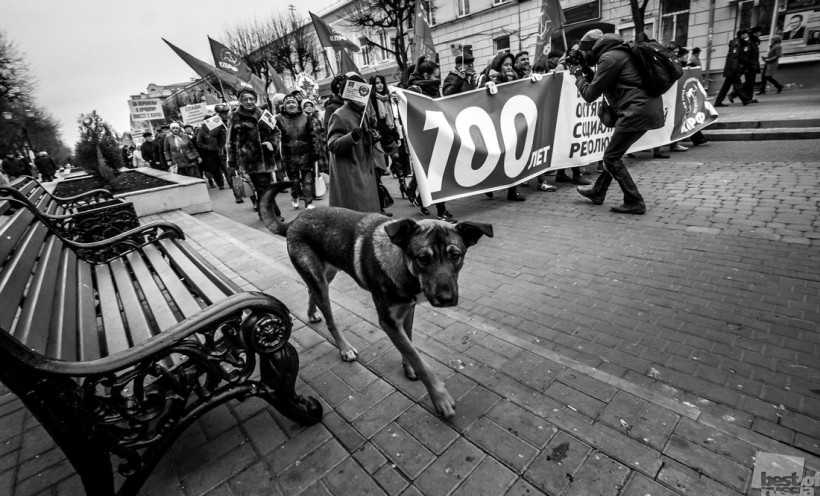 Собачья жизнь
