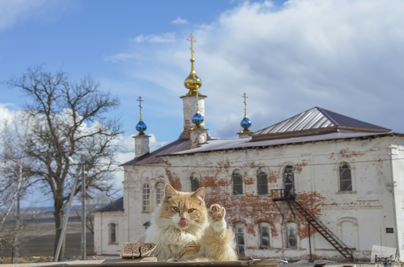 Привет из Белёва!