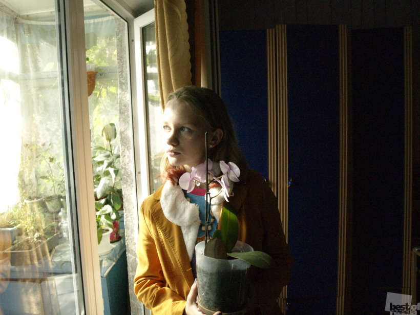 Orchid