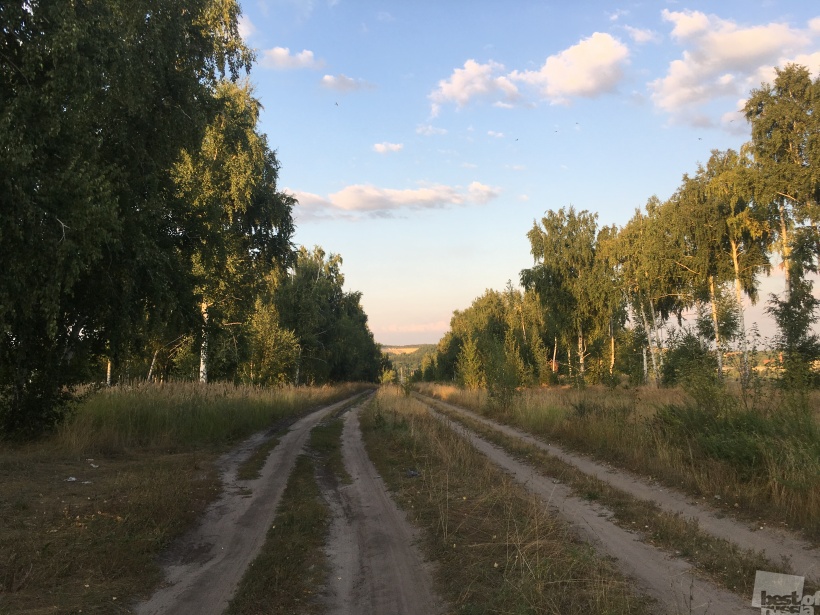 Просёлочная дорога.