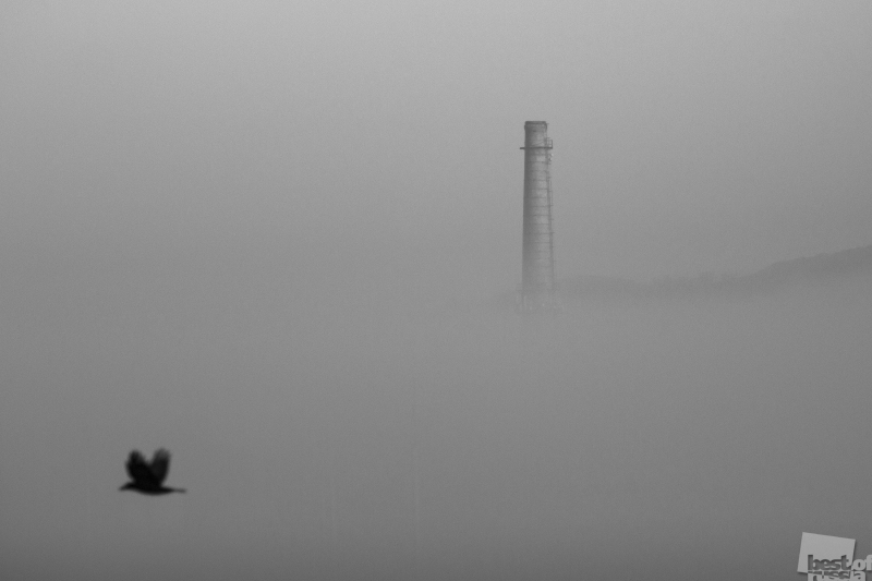 Крымский туман