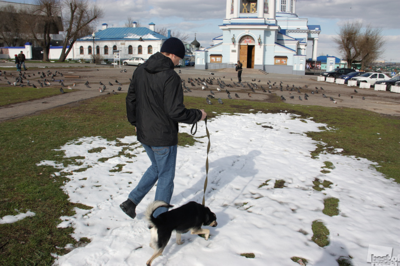 У Покровского собора