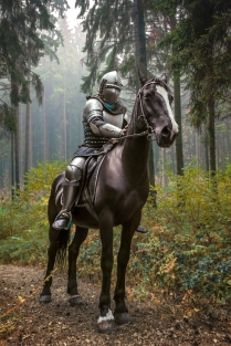 Рыцарь на коне