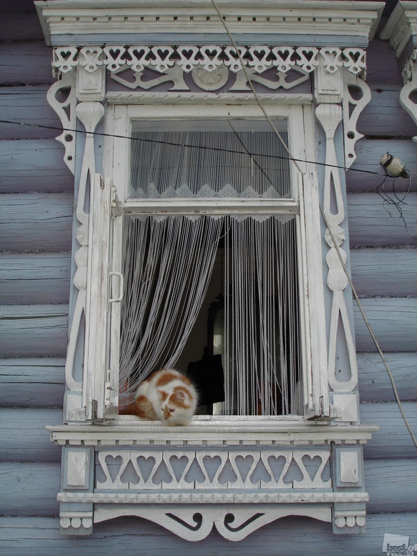 "Кошкин дом"