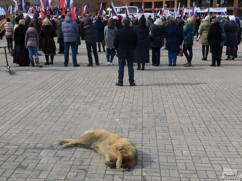Устал я слушать ваши речи.
