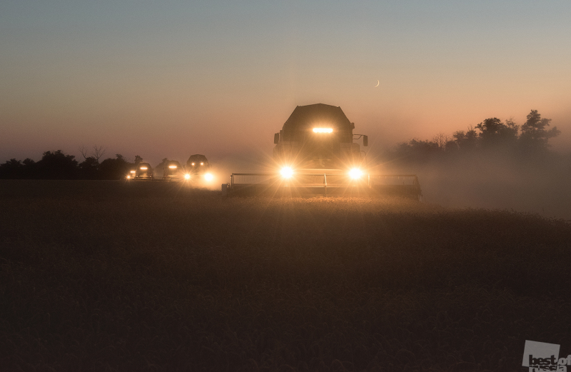 Ночь работе не помеха. Урожай зерна в 2017 году превысил рекорд СССР и стал самым большим за всю историю России укрепив возрождение страны как сельскохозяйственной сверхдержавы.