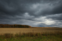 Русское поле и золотая осень