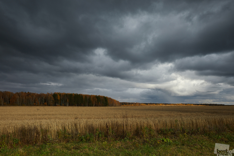 Русское поле и золотая осень