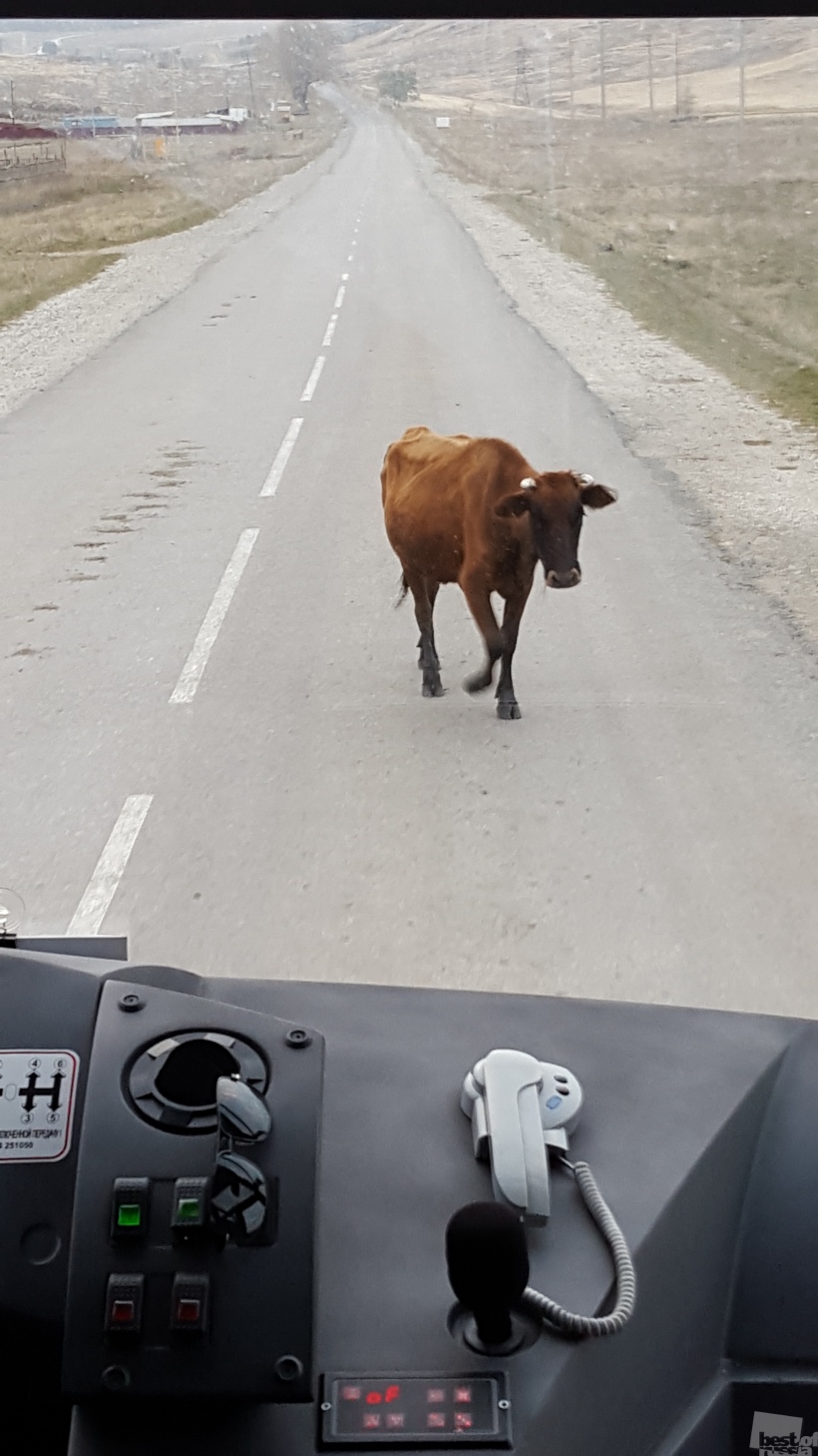 The way to Arhyz