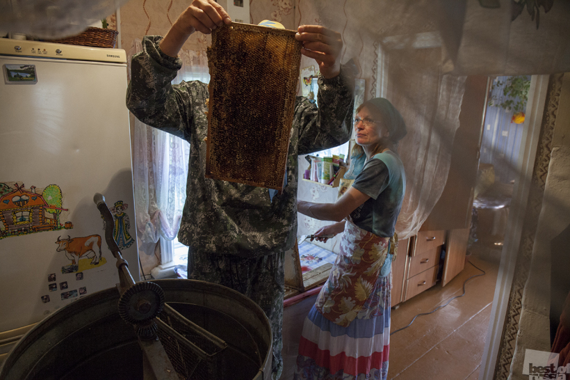 мед качали