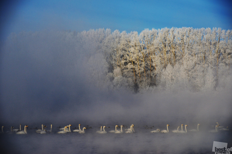Зима на Лебедином озере