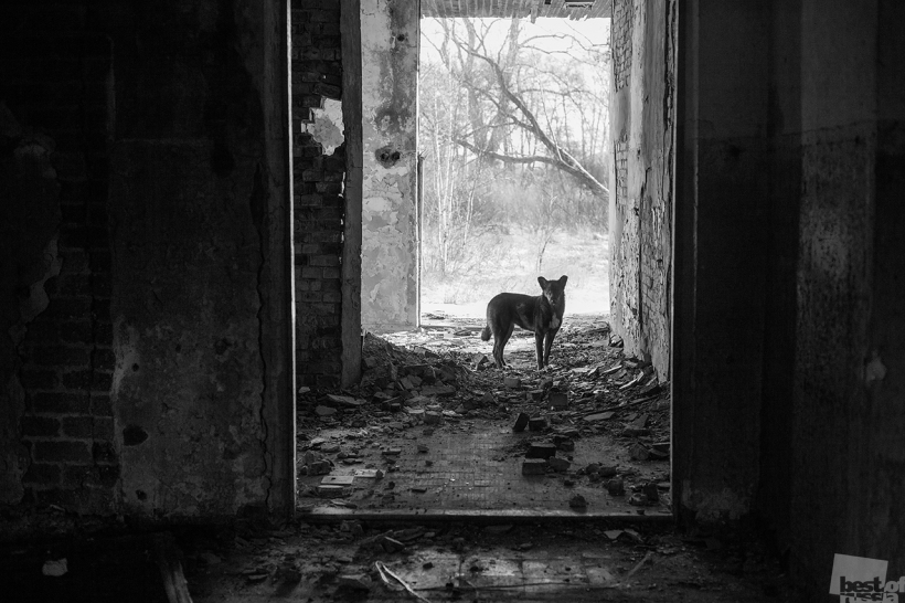 At Home among Strangers