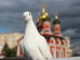 Кремлевский голубь