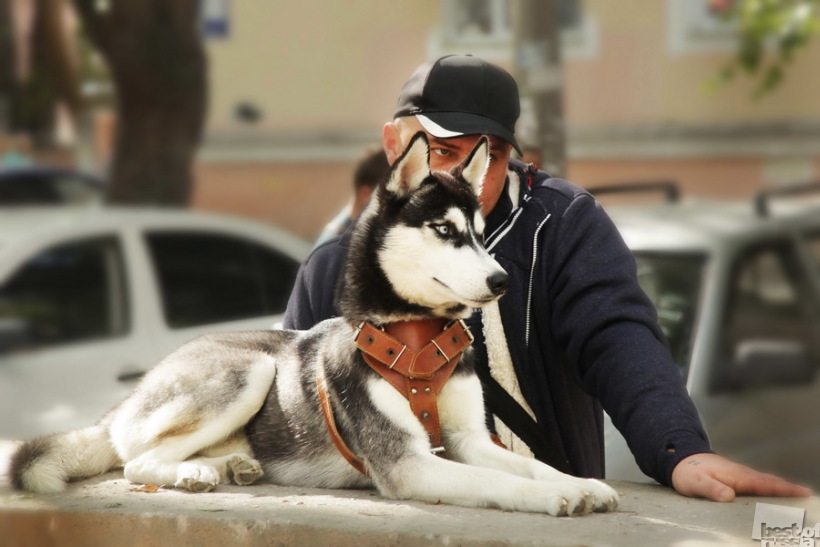 Двойной дозор