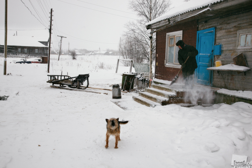 И каждого облаю