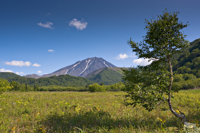 Вулканы Камчатки