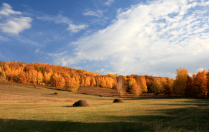 Золотая осень.