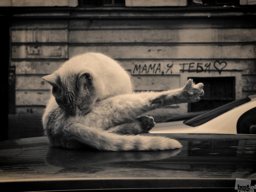 Мама, я тебя <3