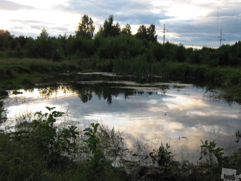Красота русской природы.