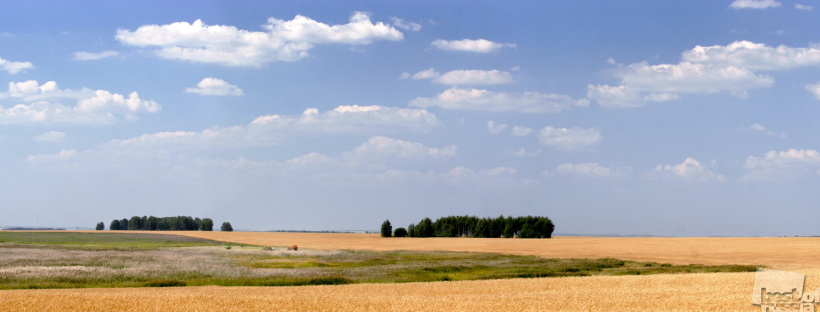 Август.